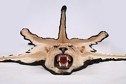 Rug Mount